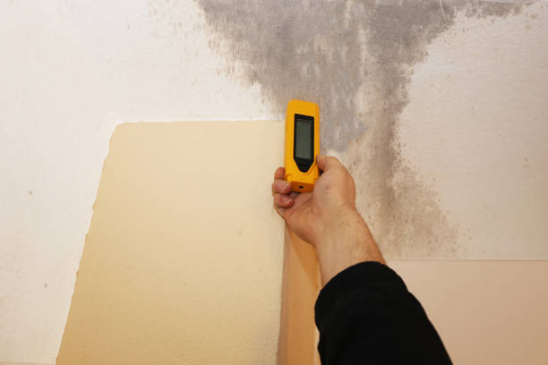 Best HVAC Mold Inspection and Cleaning  in Bayshore, NC