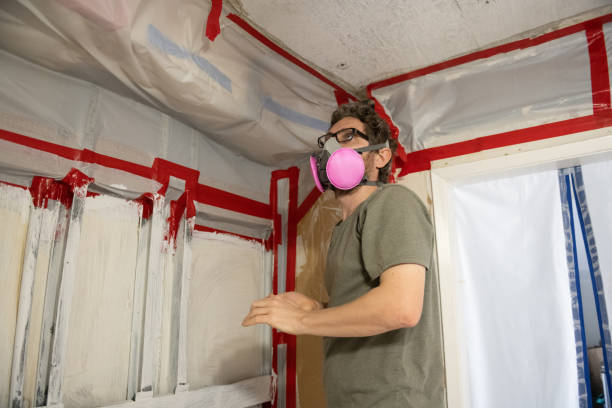 Biohazard Mold Removal in Bayshore, NC